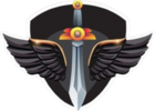 Net Angels logo